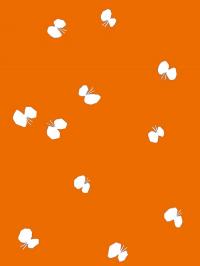 KLIPPAN(クリッパン)/CHOUCHO(オレンジ)/コットンミニブランケット