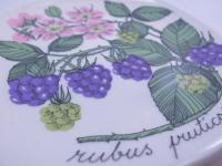 ARABIA(アラビア)/Botanica rubus fruticosus/ウォールプレート